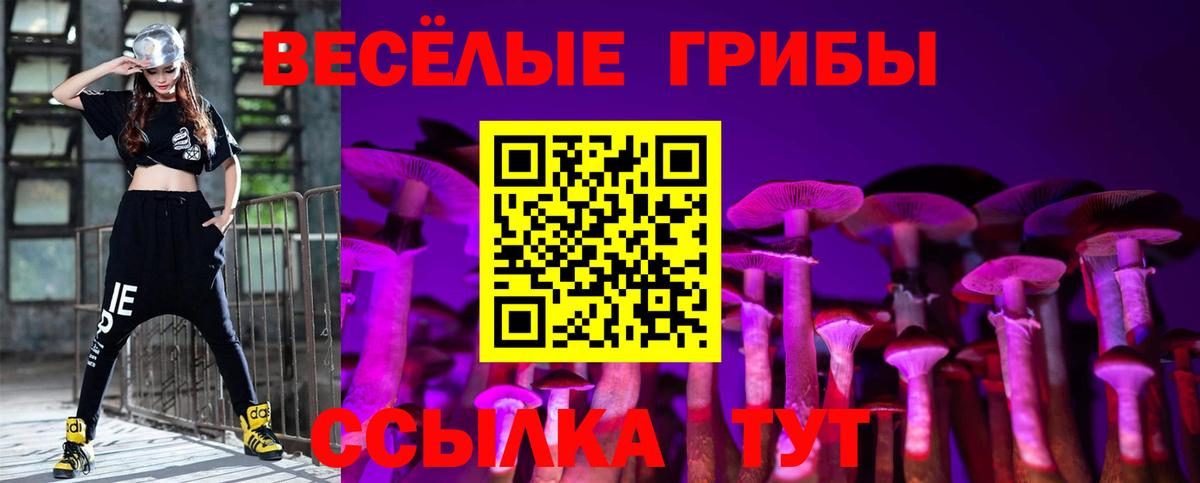 Сухой Лог  Галлюциногенные грибы мицелий  Вход с VPN 